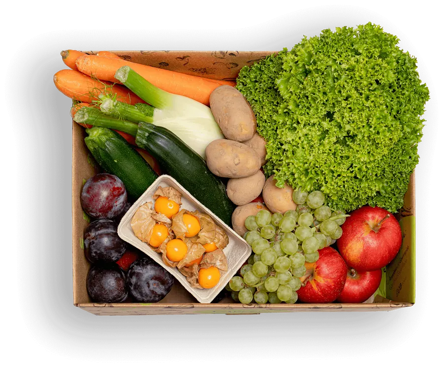 BioFerdl Packerl mit frischem Bio-Obst und -Gemüse